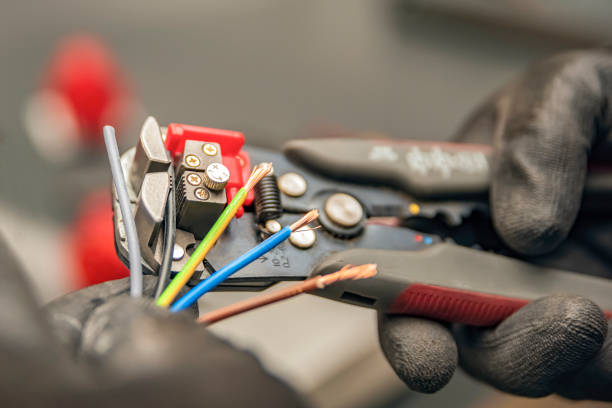 Best Electric Panel Repair  in Candor, NC